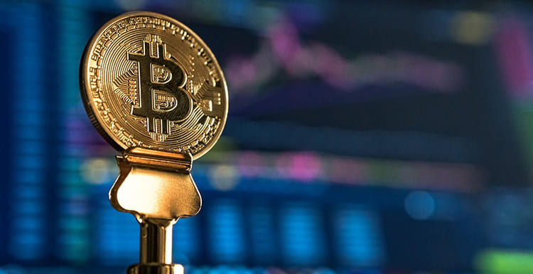 Comprehensive Guide to the Exness Trading Calculator Comprehensive Guide to the Exness Trading Calculator
