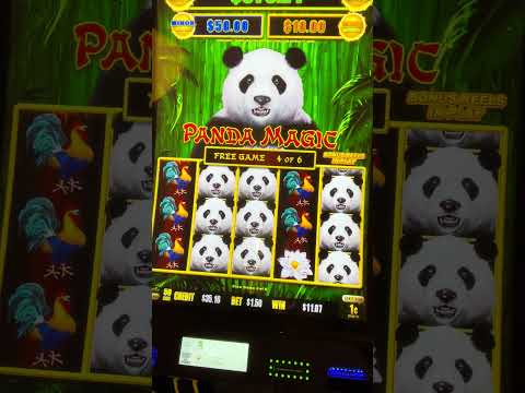 Discover the Exciting Spinpanda Casino Registration Process 5 Discover the Exciting Spinpanda Casino Registration Process 5
