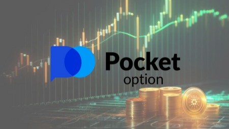 Pocket Option Platform Your Gateway to Trading Success Pocket Option Platform Your Gateway to Trading Success